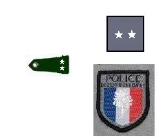 Galon directeur général adjoint police environnement
